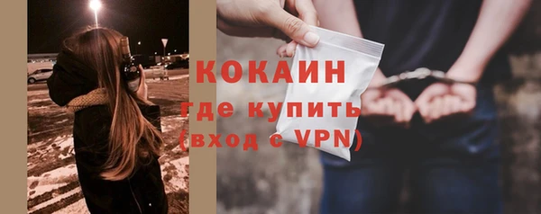 твердый Балахна