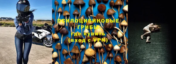 кокс Баксан