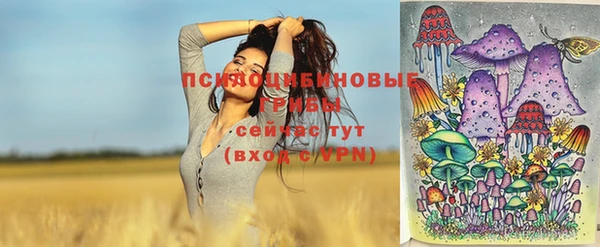 твердый Балахна